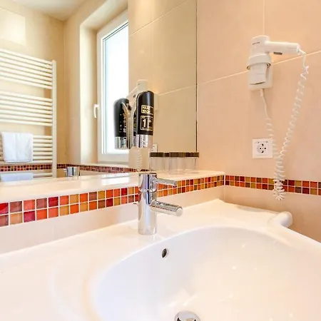 Guest house Hotel & Appartements Erlenheim 3*