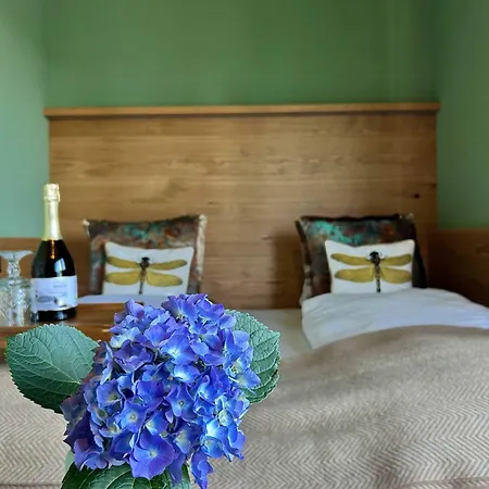 Gasthuis Newly Renovated Boutique Giulia Slow 3*